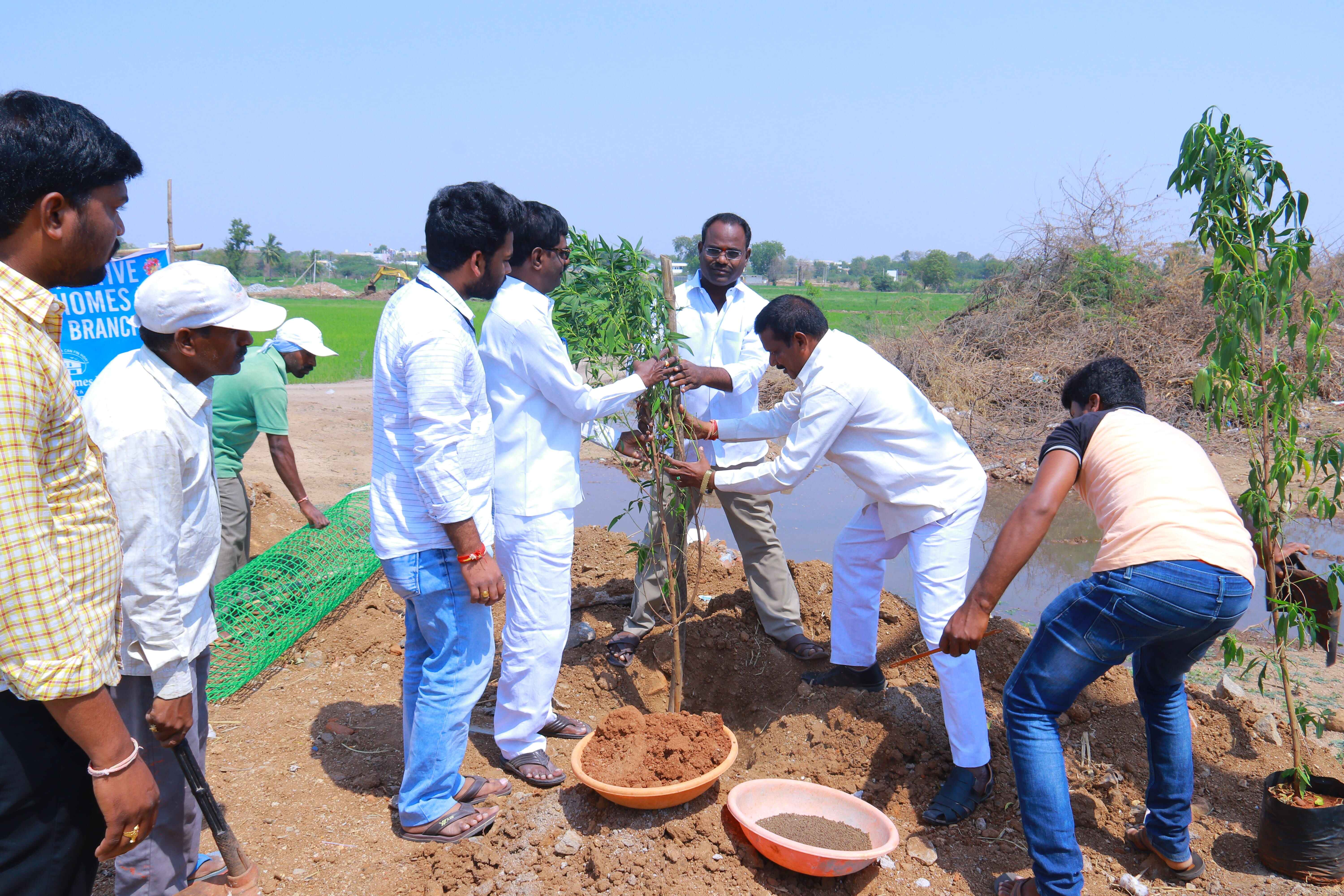 A CSR activity of Siddipet to Tree gaurds to protect plantssaplings in and around Siddipet District
